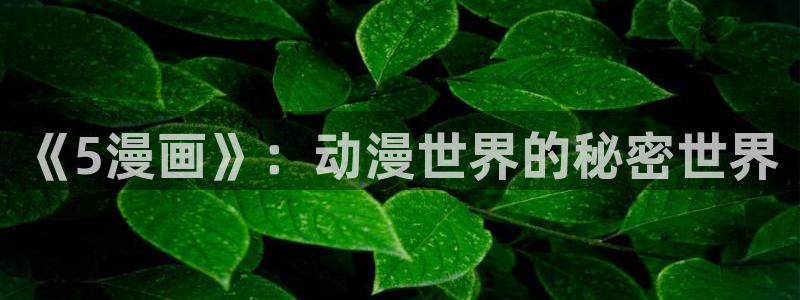 酷漫屋下拉式(免费漫画)官方网：《5漫画》：动漫世界的秘密世界