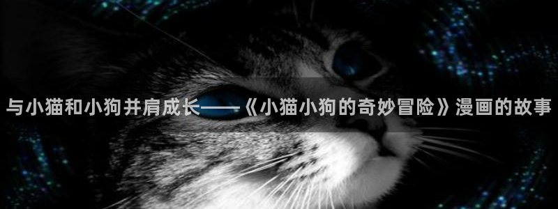 酷漫屋：与小猫和小狗并肩成长——《小猫小狗的奇妙冒险》漫画的故事